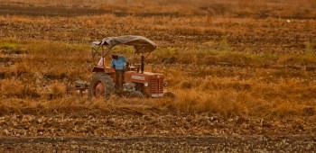 Segurança e saúde no trabalho agrícola - exposição solar e a temperaturas elevadas