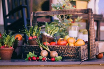 Regras de higiene na produção de frutas e hortícolas