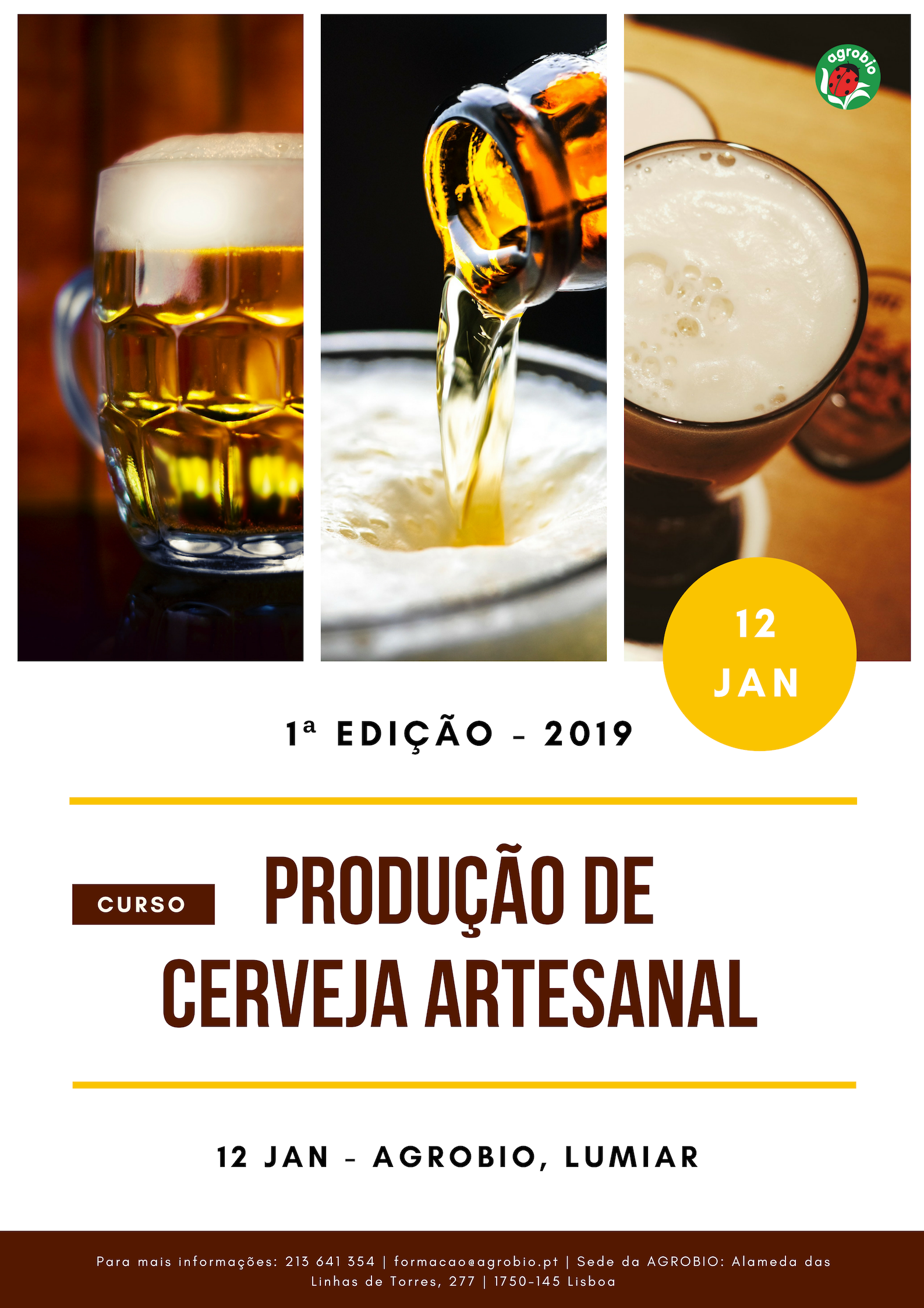 Curso de Produção de cerveja artesanal Agrozapp