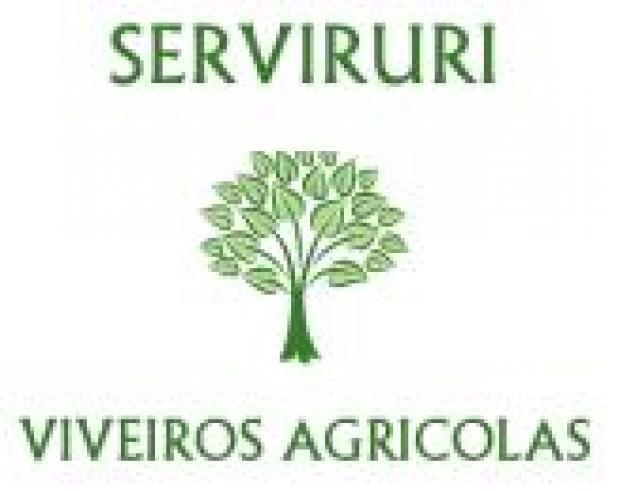 Serviruri,Lda