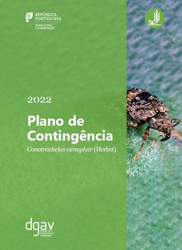 Plano de Contingência Conotrachelus nenuphar (Herbst)